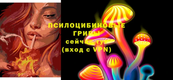 альфа пвп Новодвинск