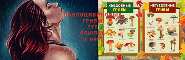 наркотики Нефтекумск